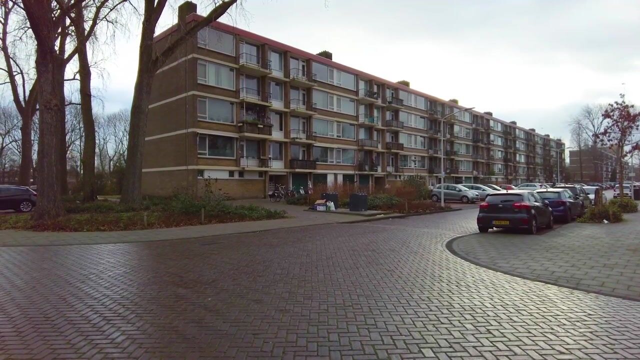 Video of Bachstraat 268