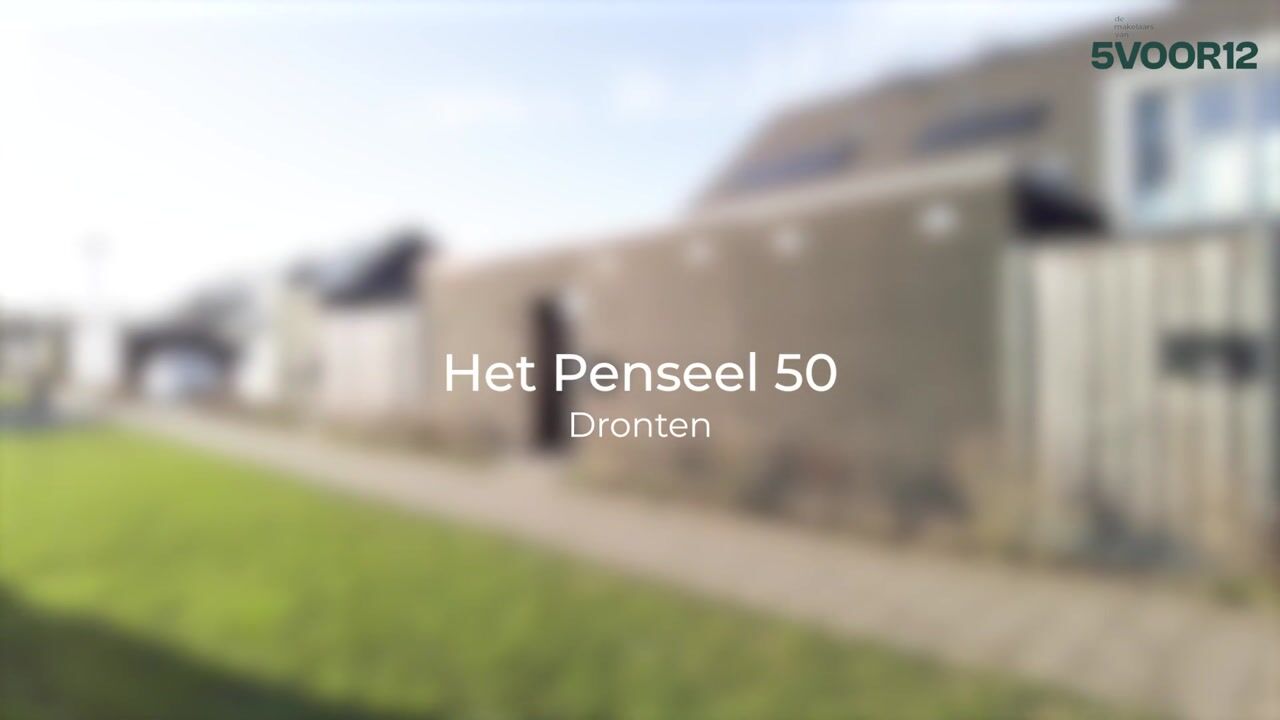 Video of Het Penseel 50