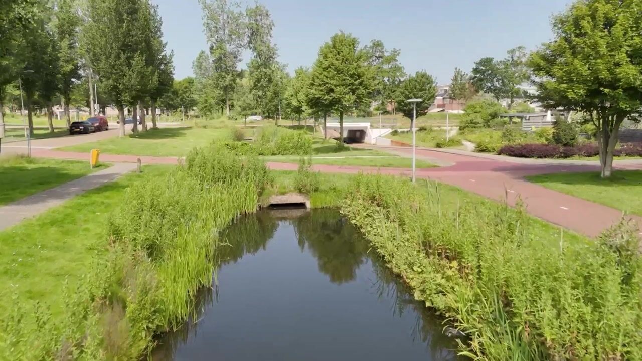 Video van Mui 3