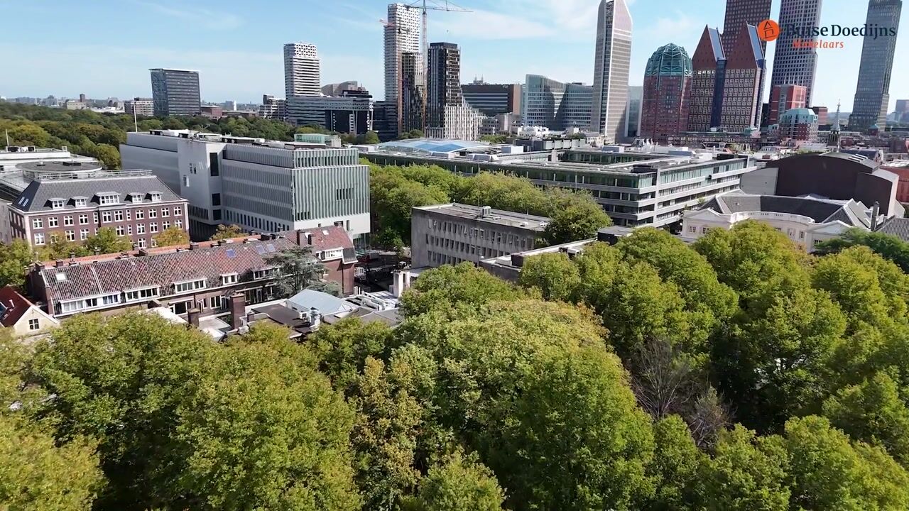 Video van Lange Voorhout 100