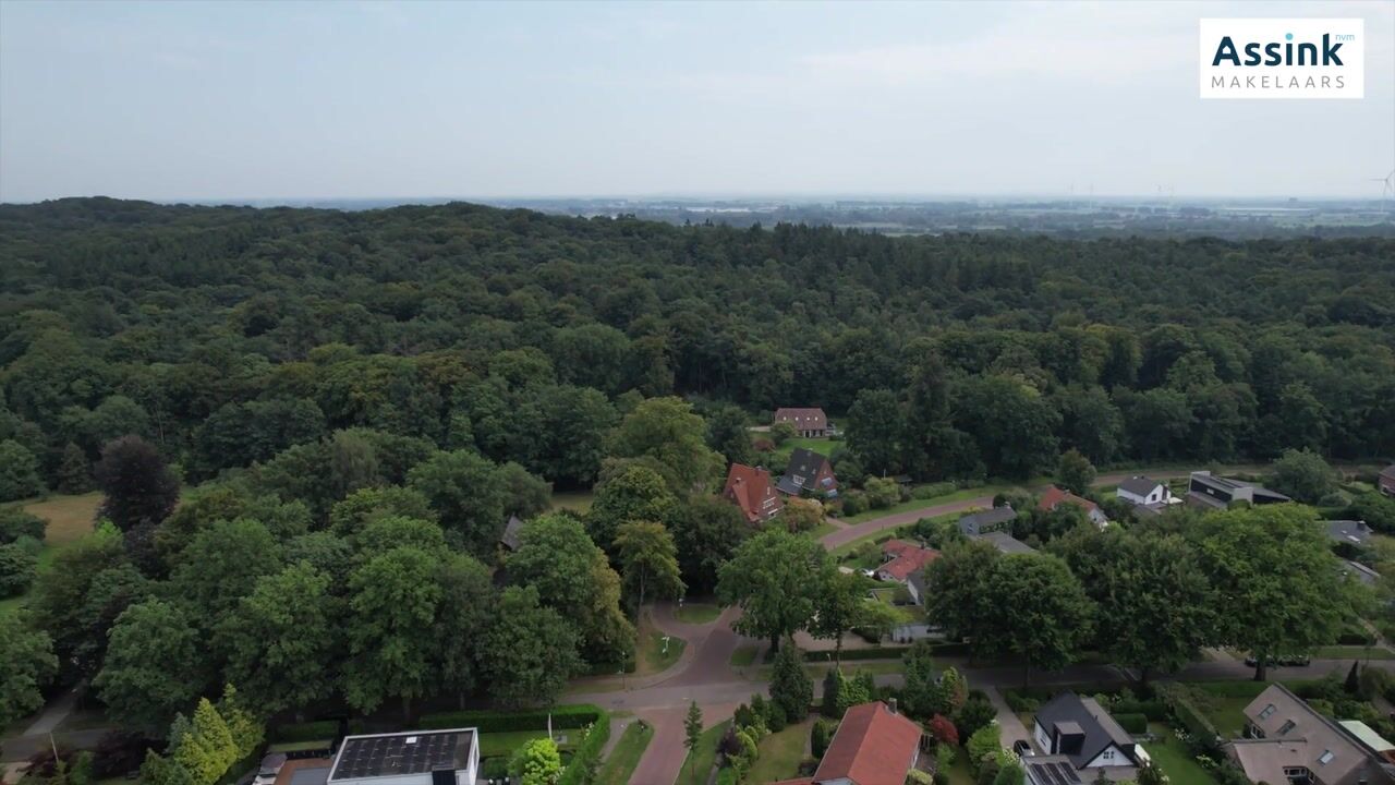 Video van den Bruijl 33