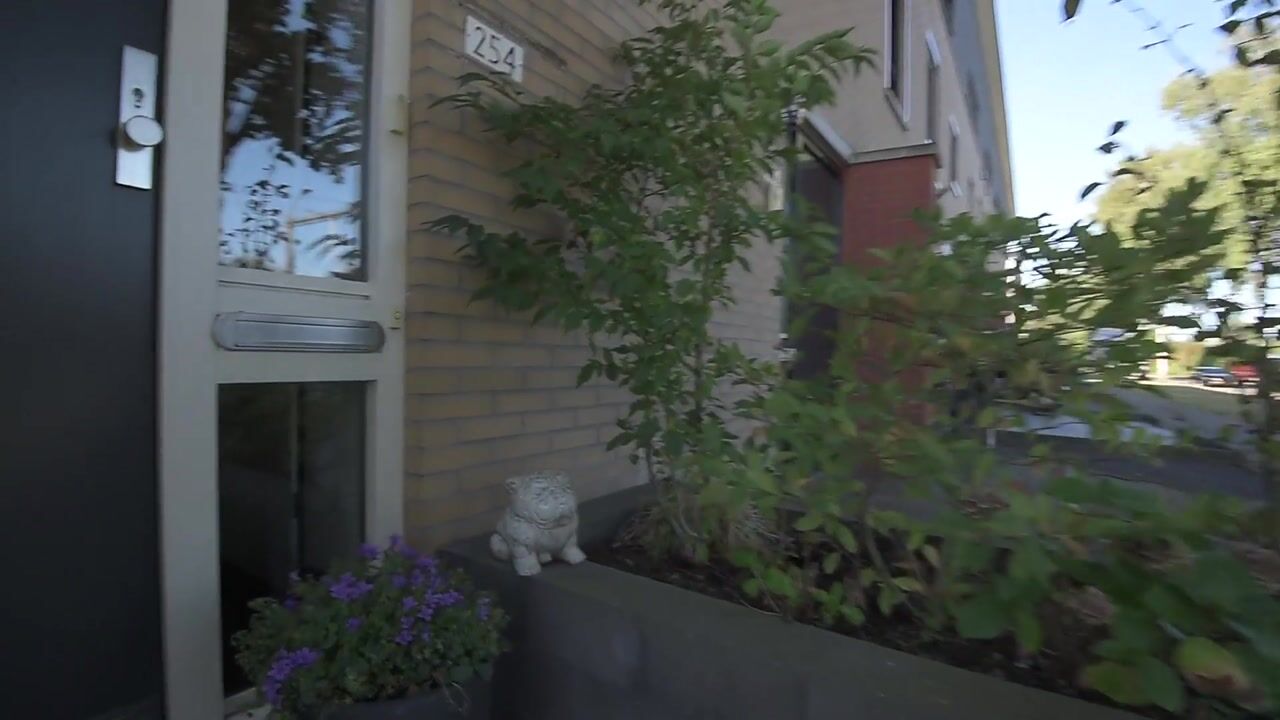 Video van Van Speyklaan 254