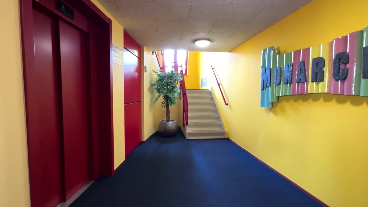 Video van Suykers acker 37
