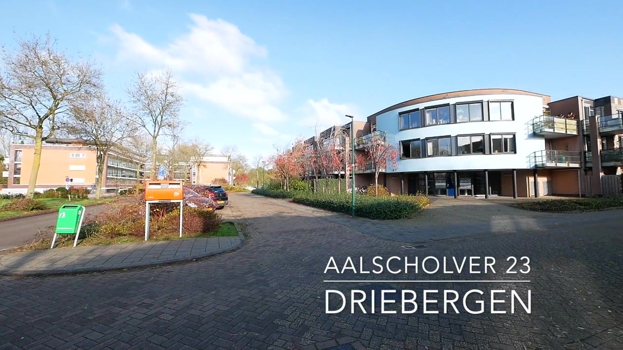 Bekijk video van Aalscholver 23