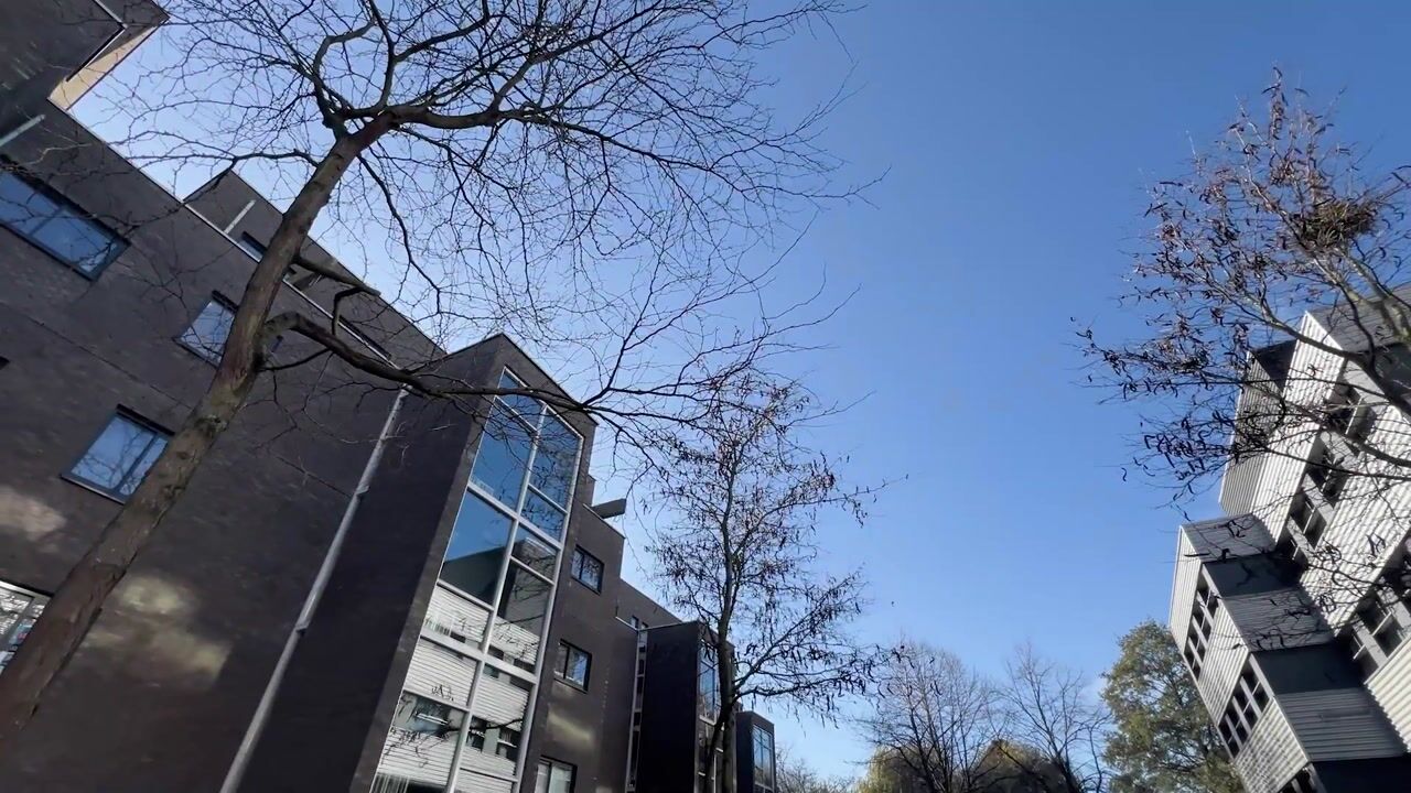 Video of Marcantilaan 436