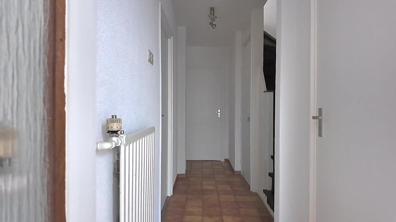 Video van Lijzij 74