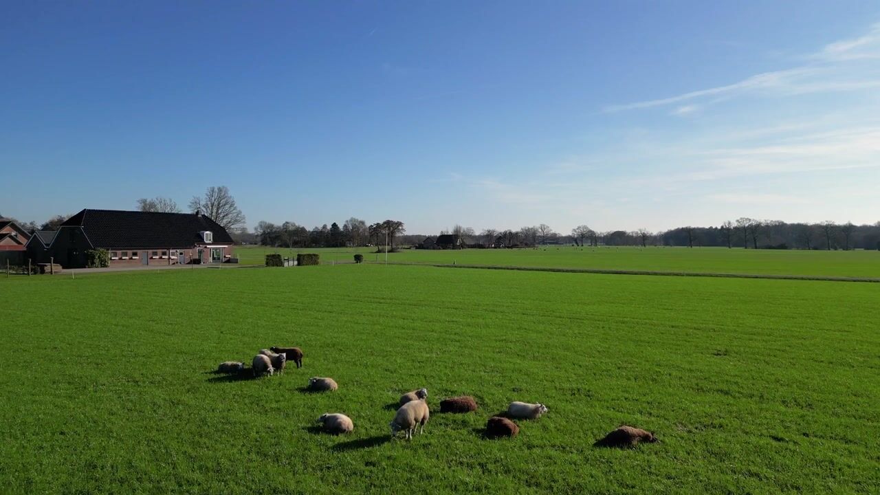 Video van Klein Moorst 3