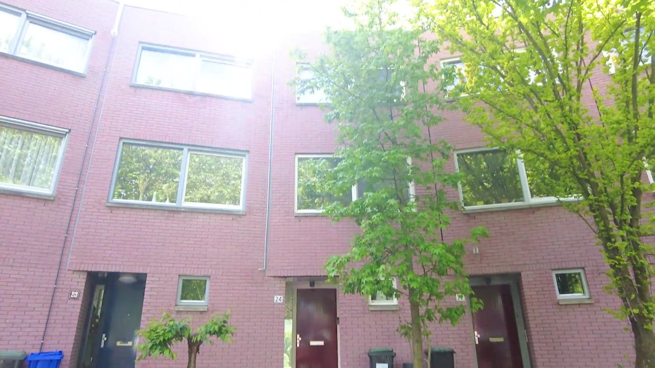 Video of Dijkbraak 24