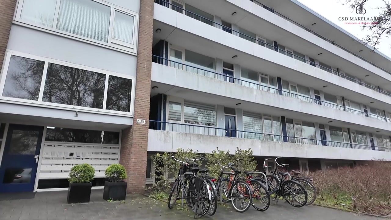 Video van Henry Hagalaan 50