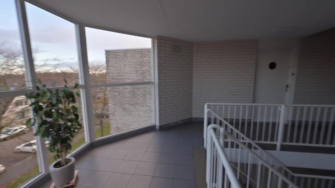 Video of Lijmkoker 51