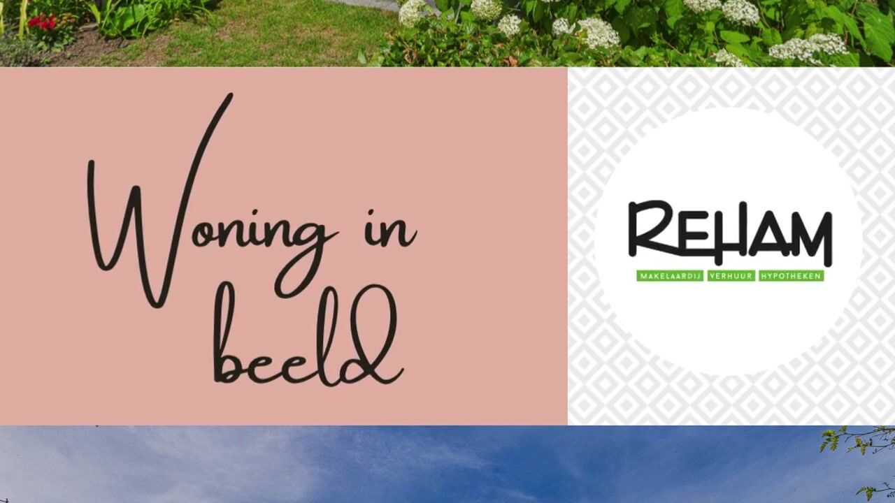 Video van Reygerskreek 32