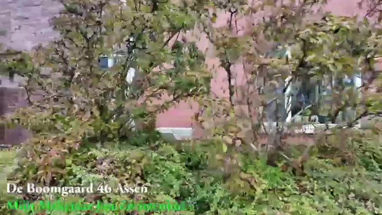 Video van De Boomgaard 46
