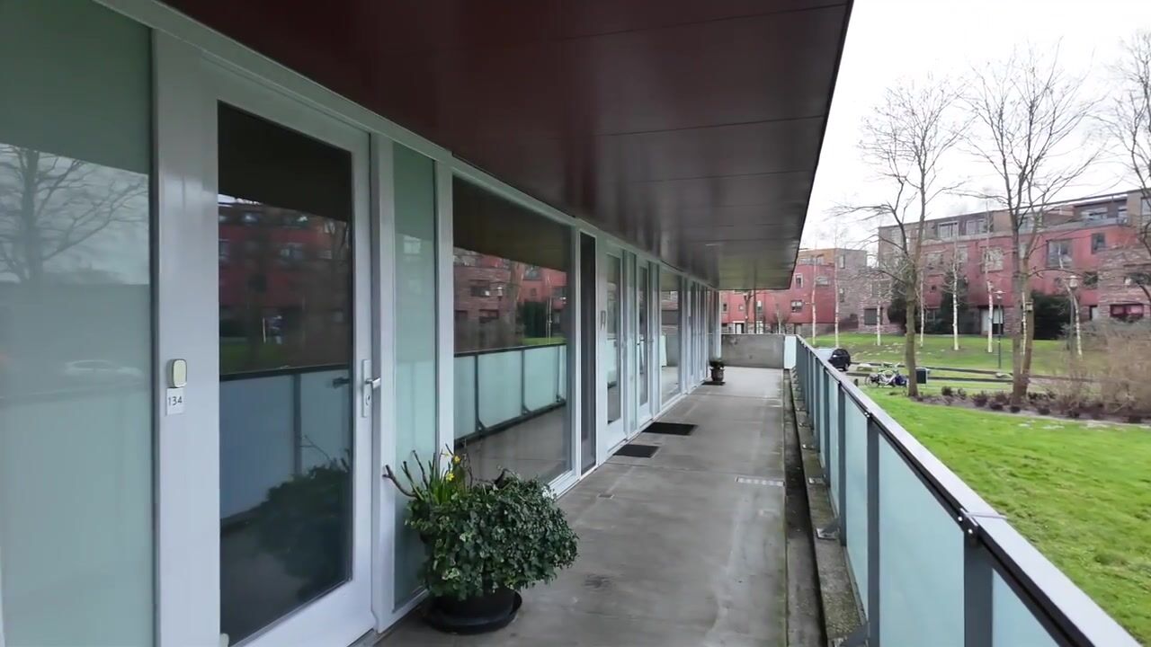 Video van Meerval 134