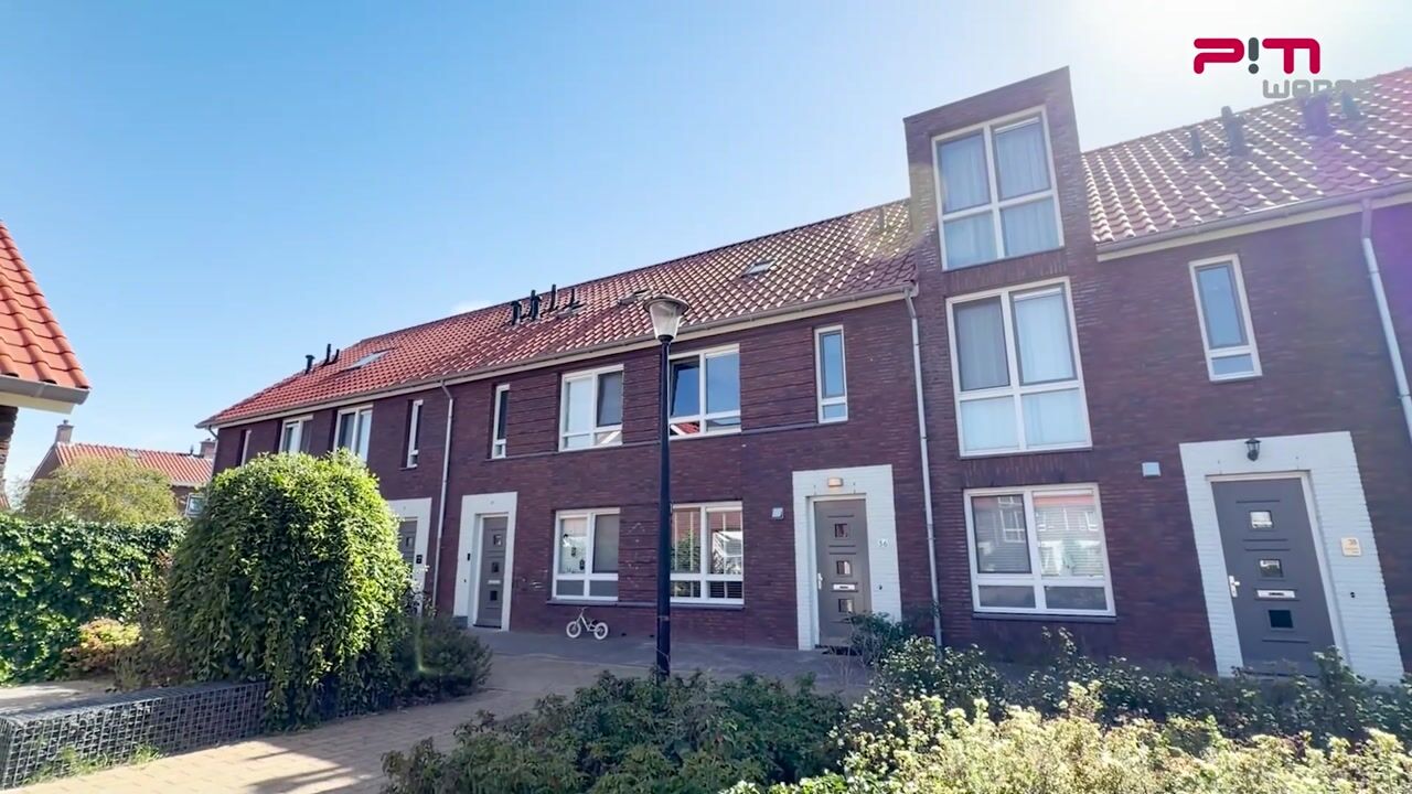 Video van Theodorus Zashof 36