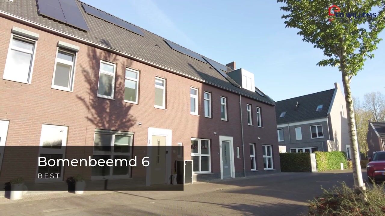 Video of Bomenbeemd 6