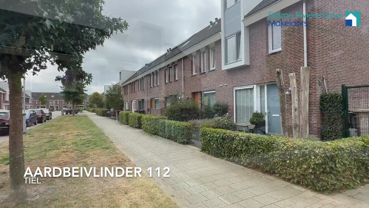 Video of Aardbeivlinder 112