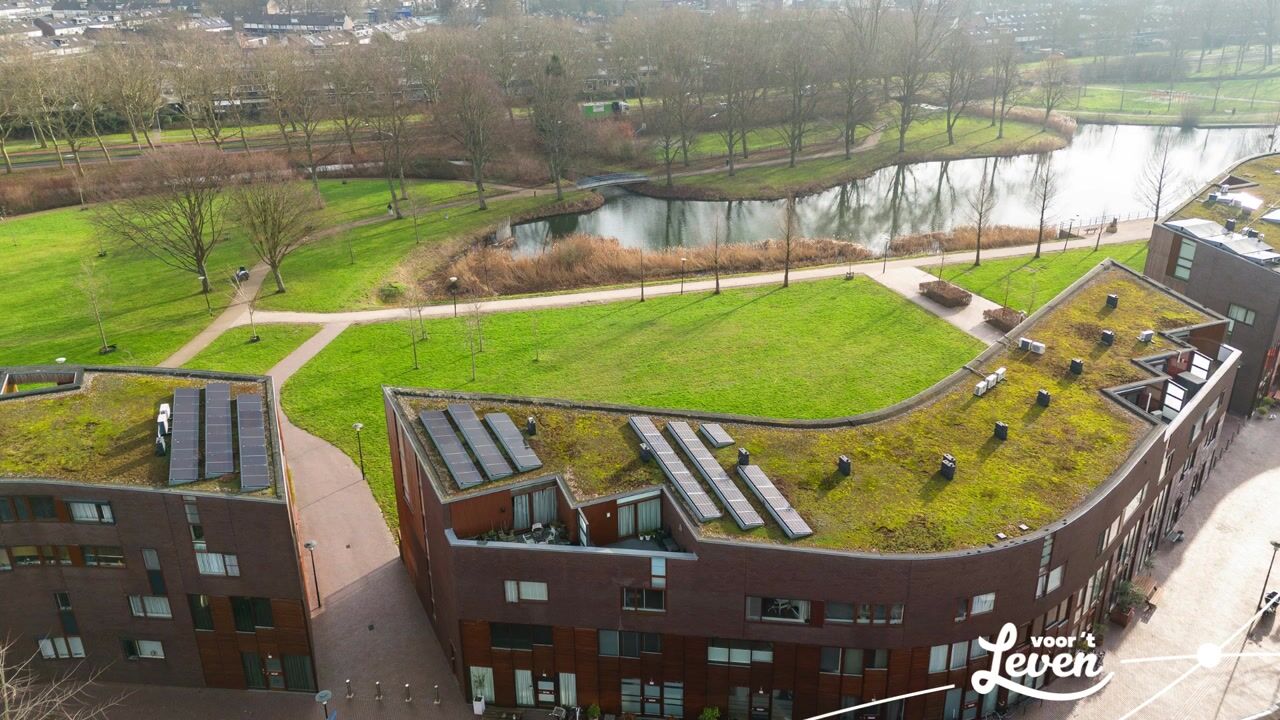 Video van Kokardebloem 25