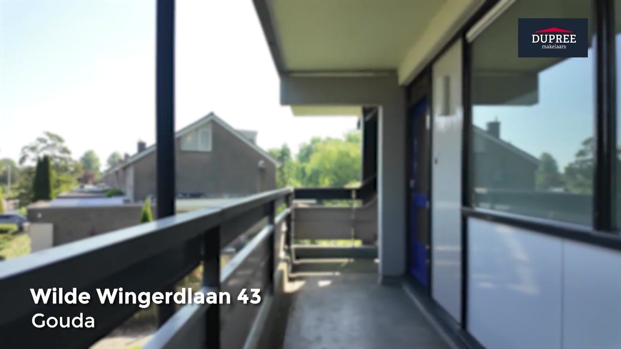 Video van Wilde Wingerdlaan 43
