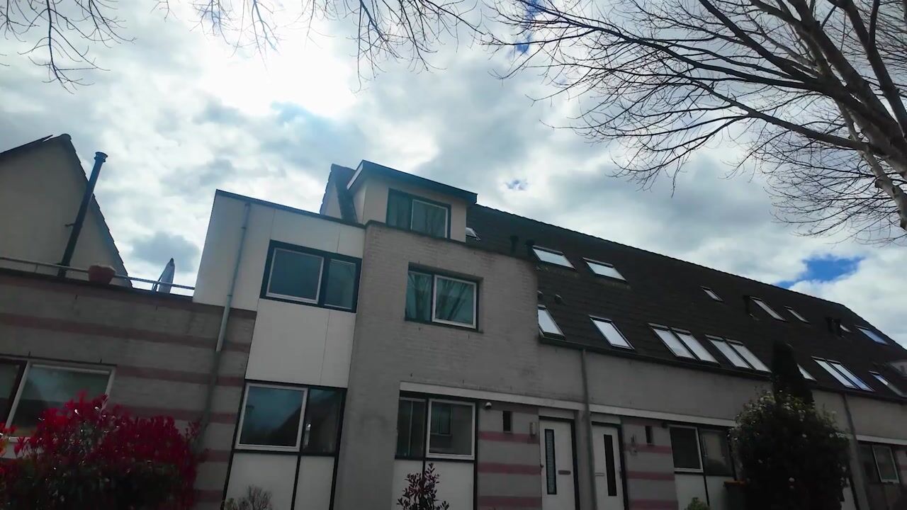 Video van Martin Luther Kingstate 25