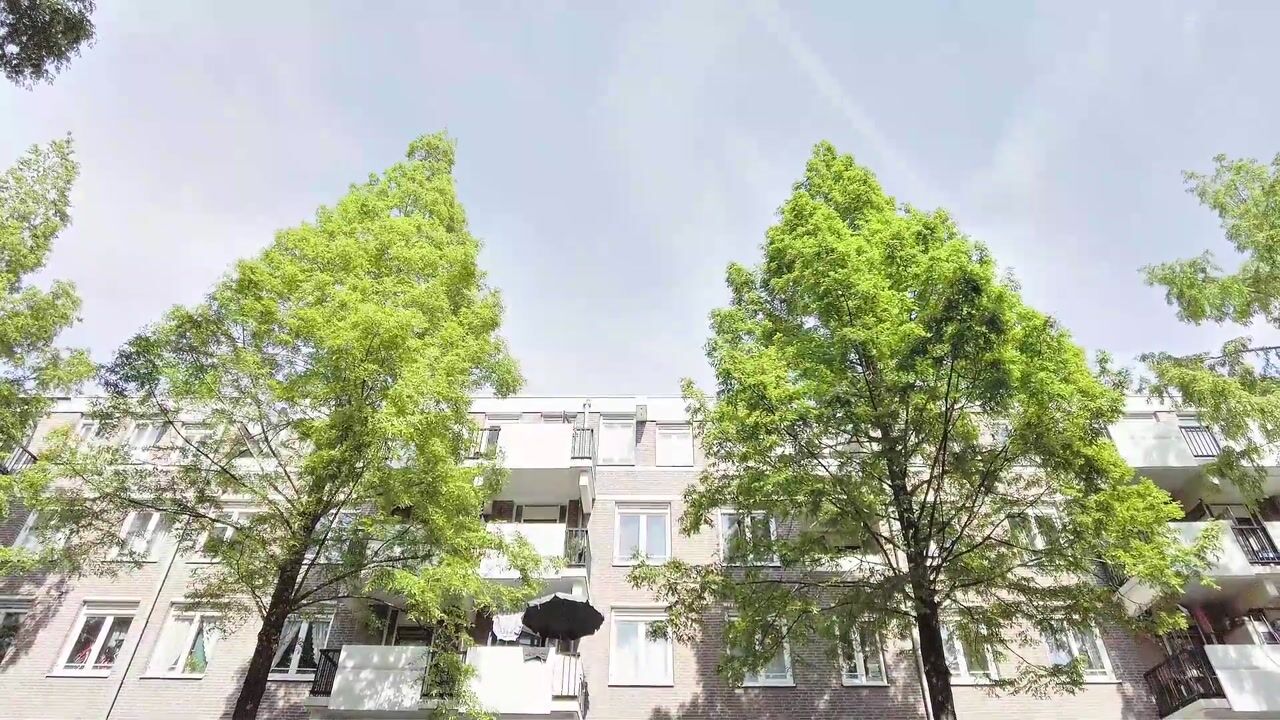 Video van Molukkenstraat 447