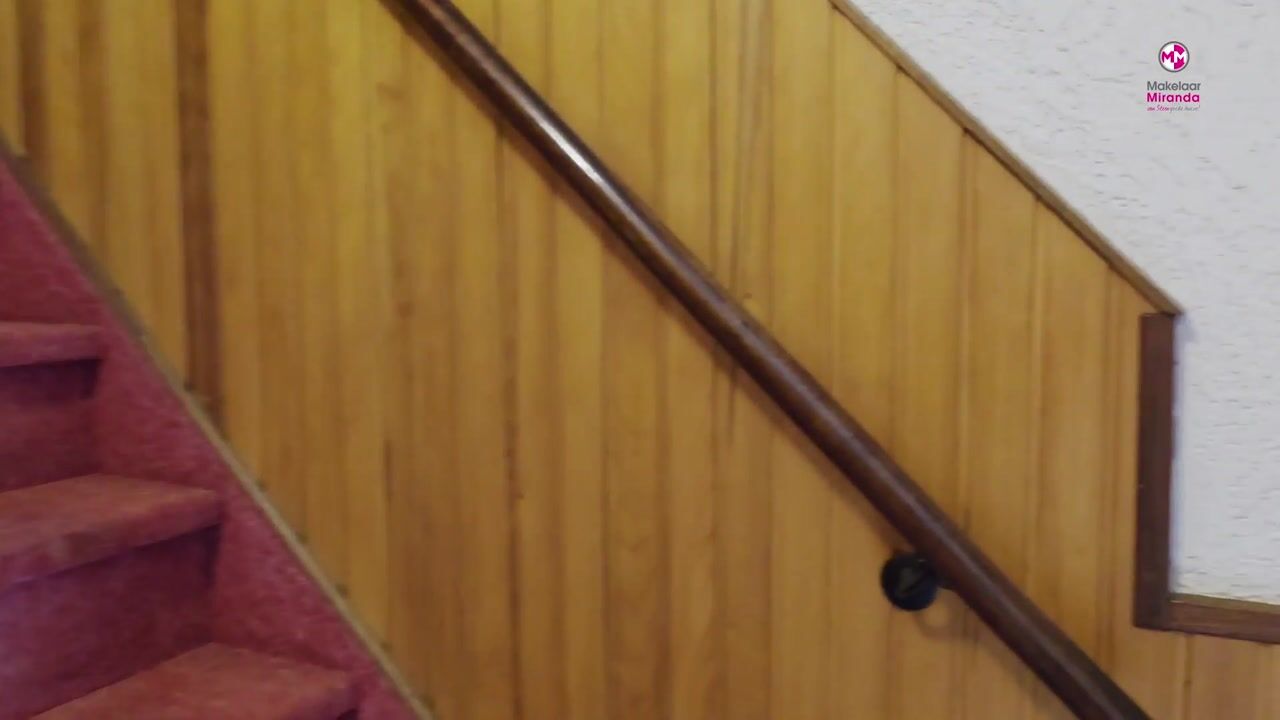Video van Tolhuislaan 88