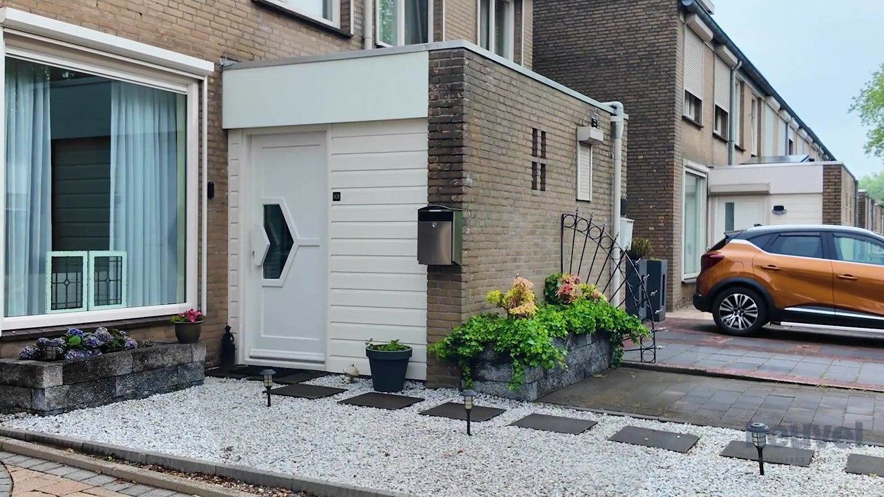 Video van Goudplevier 101