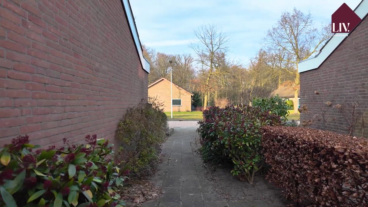 Video of Van Haersmasingel 18