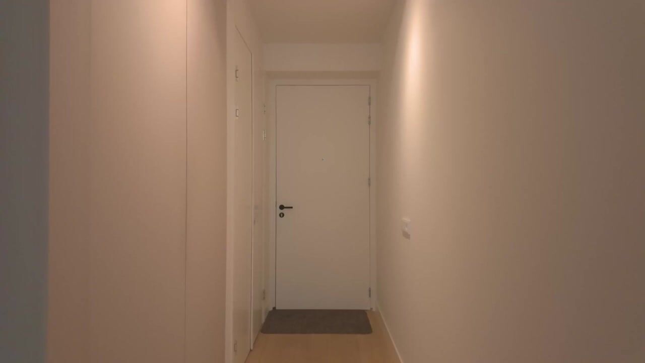 Video van Ton de Leeuwstraat 54