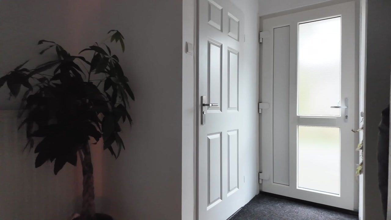 Video of Kagersingel 1