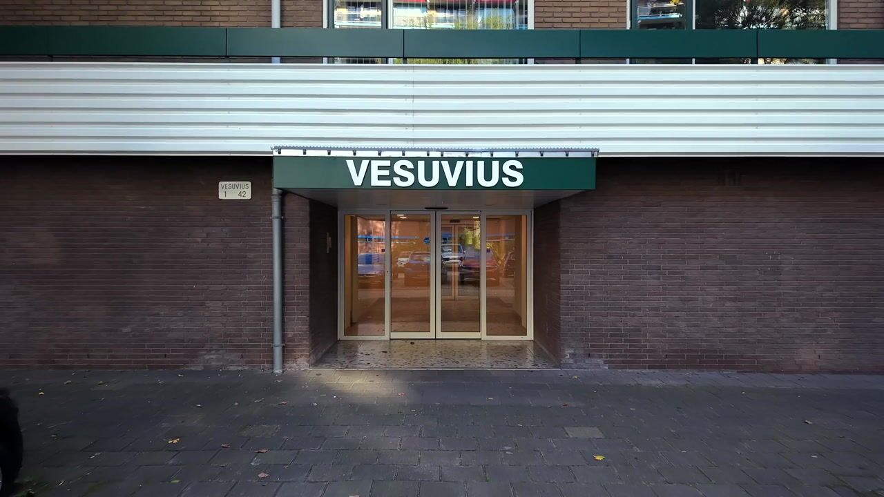 Video van Vesuvius 22
