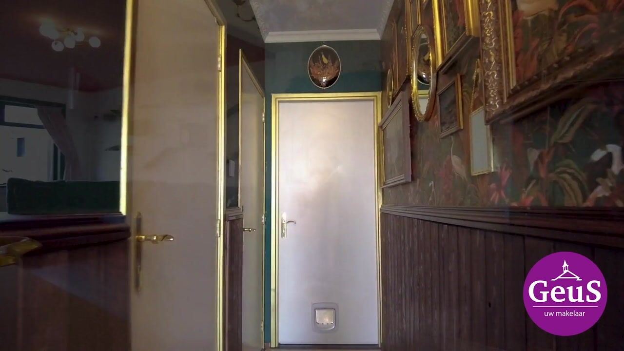Video van Zandstraat 89