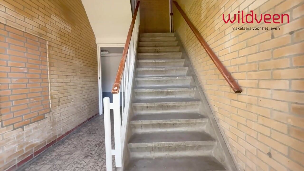 Video van Dierenriemstraat 37