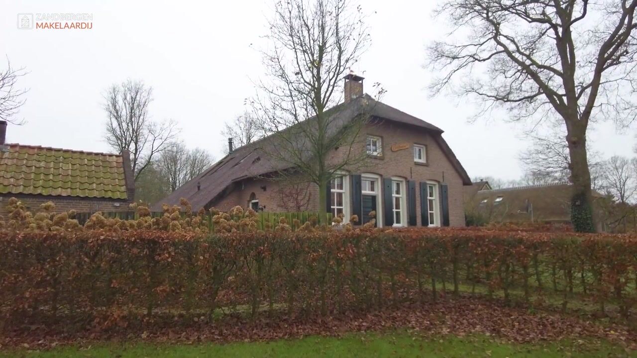 View video of Leeuwte 26