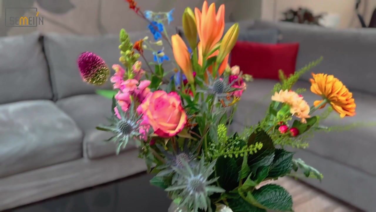 Video of Albrecht Dürerweg 143