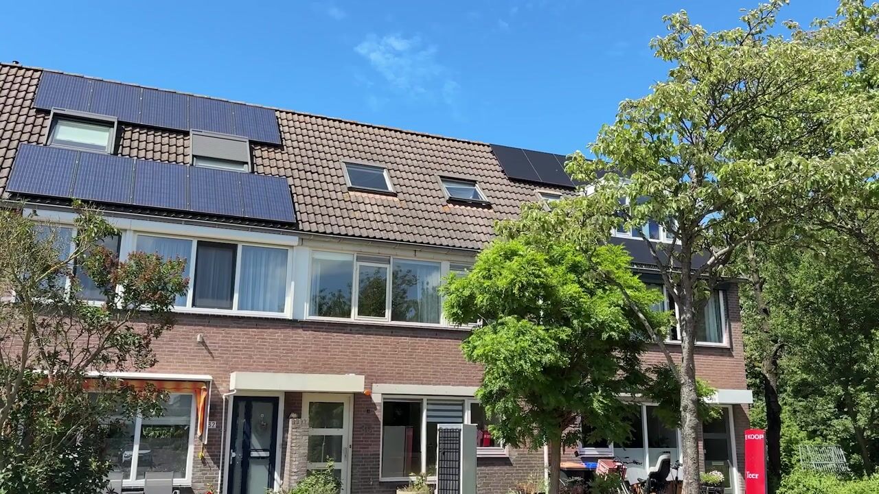 Video van Leverkruid 30