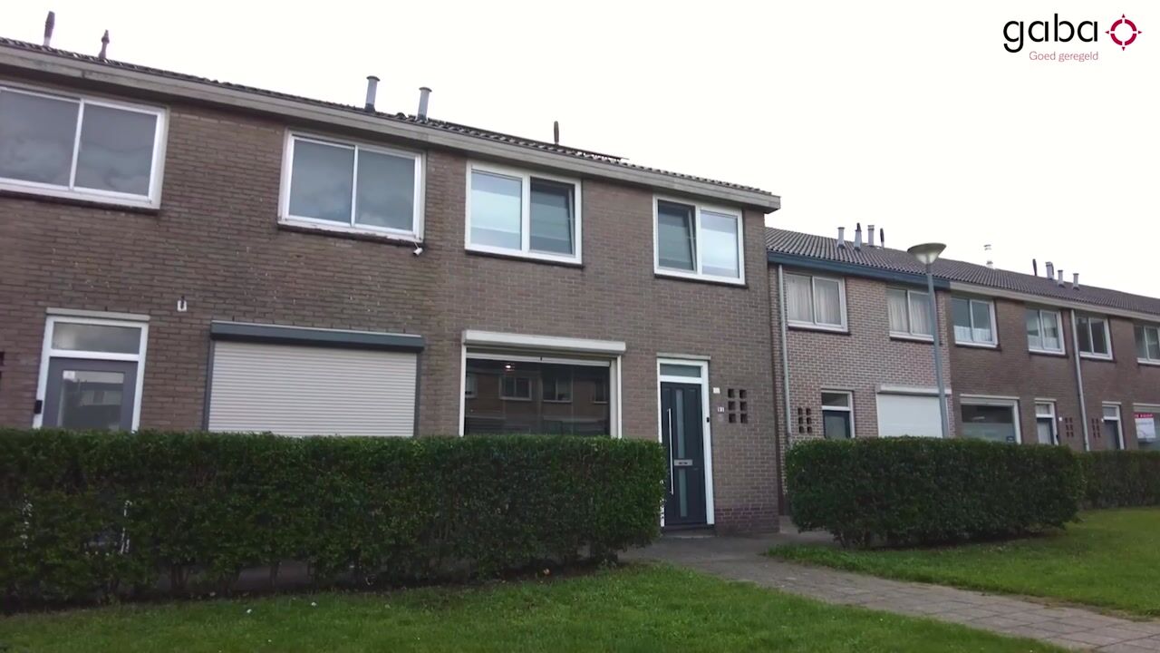 Video van Koeweide 91