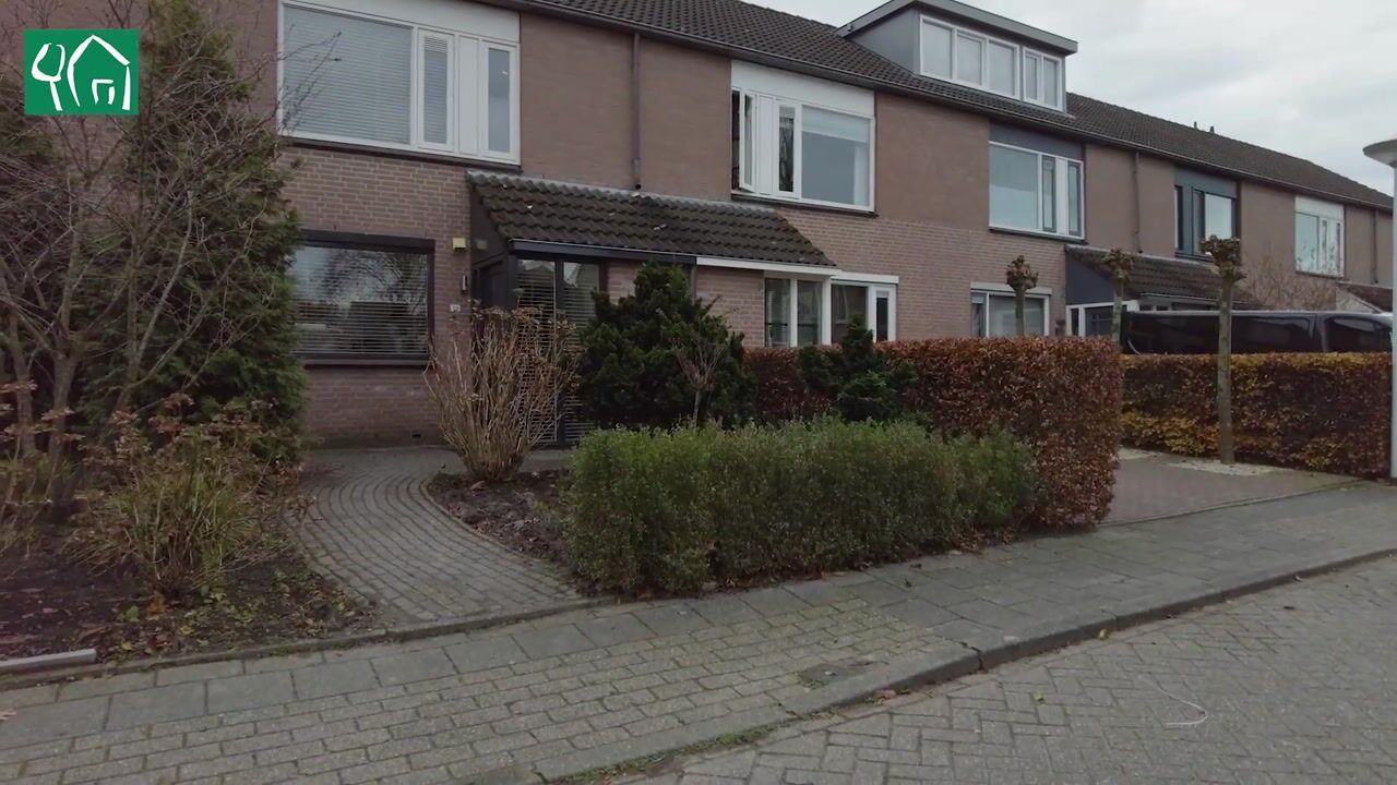 Video of Populier 78