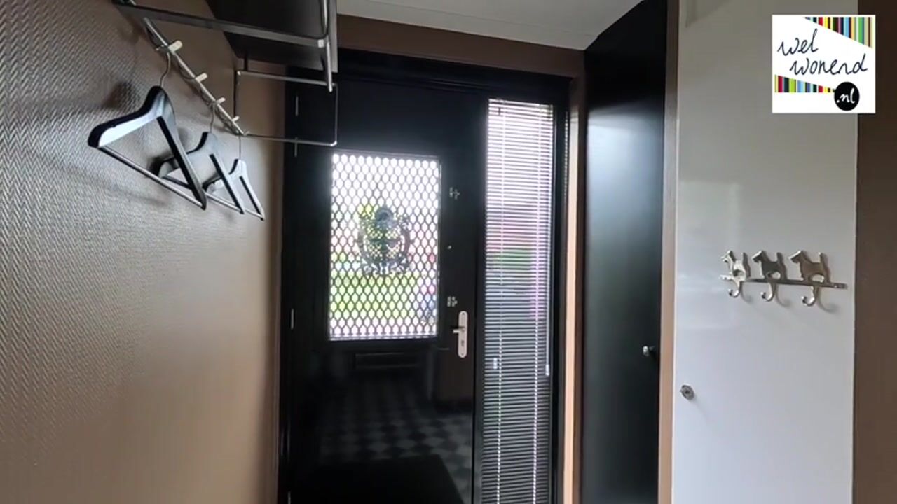 Video van Bundelzwam 29