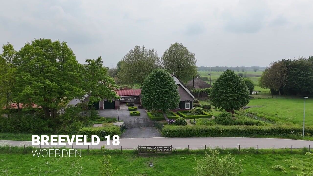 Video of Breeveld 18