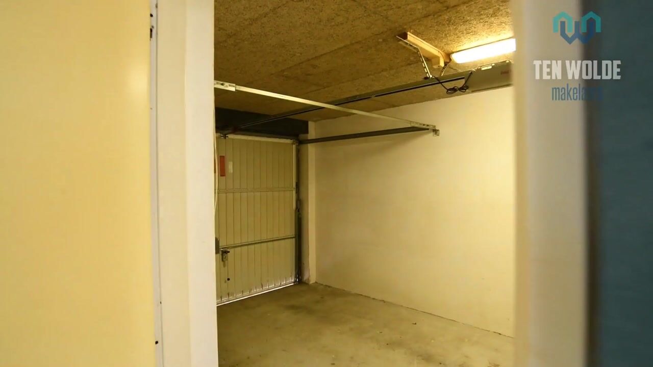 Video van Sneeuwuil 65