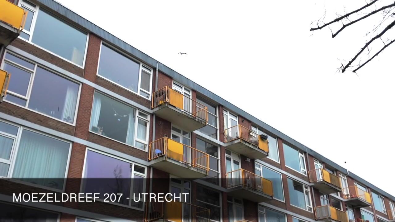 Video van Moezeldreef 207