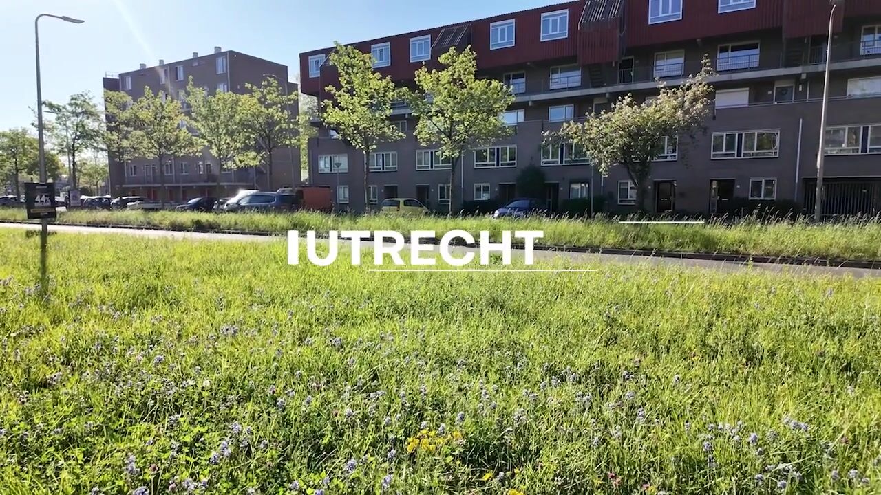 Video van Zevenwouden 54