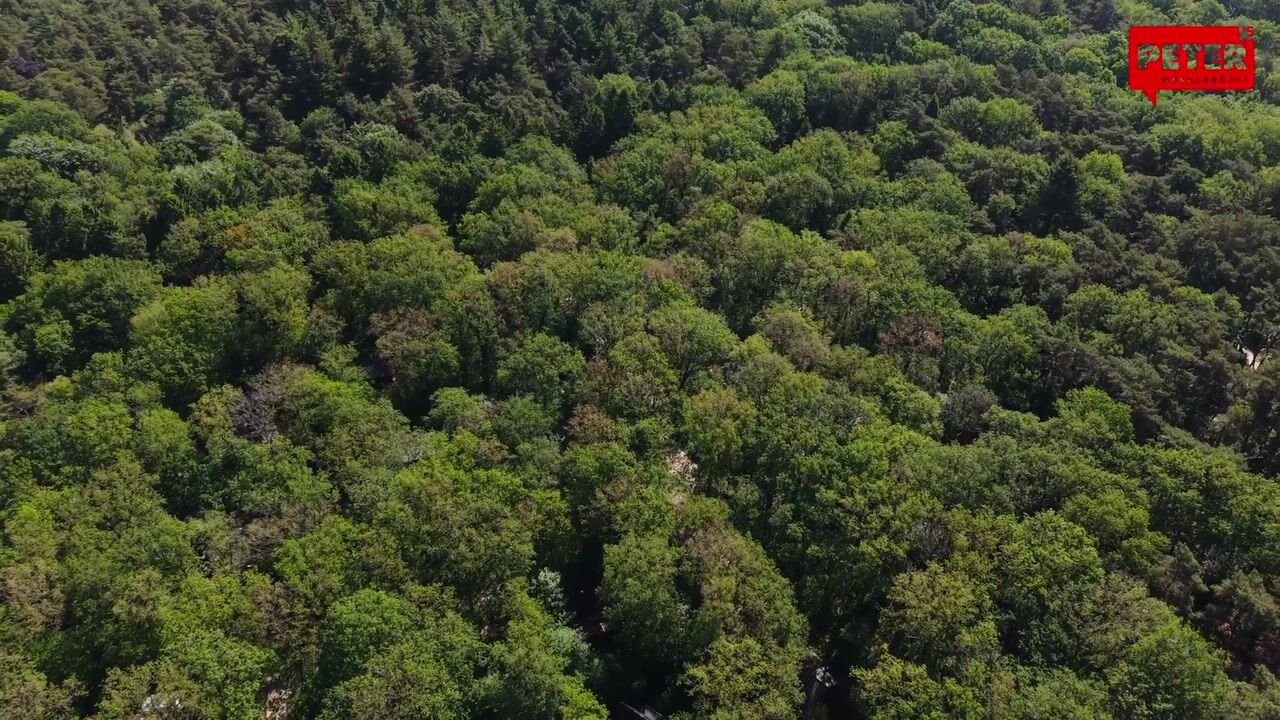 Video of Langeloërduinen 4 102