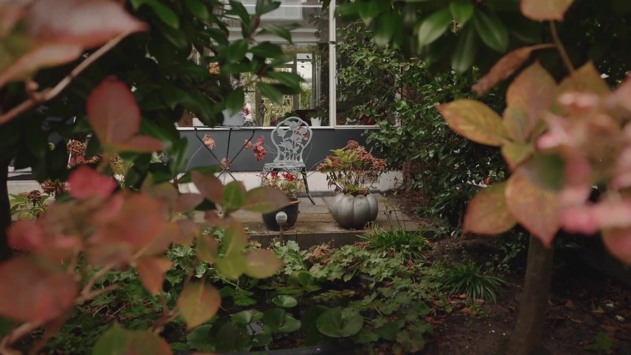 Video van Lisztlaan 5