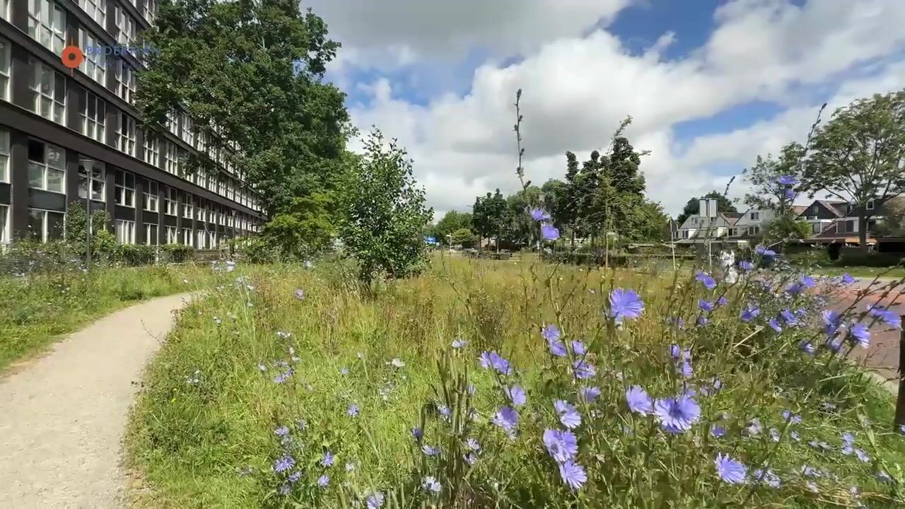 Video van Lapis Lazuli 120