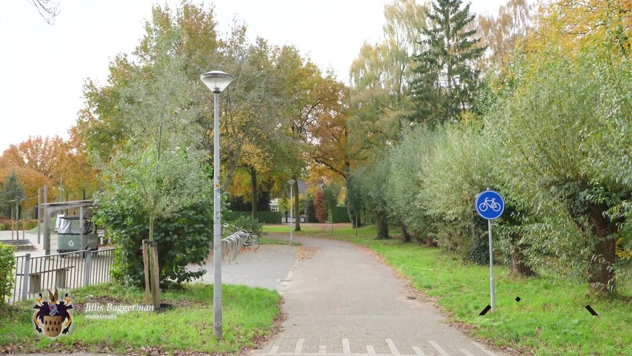 Video of Boterbloem 10