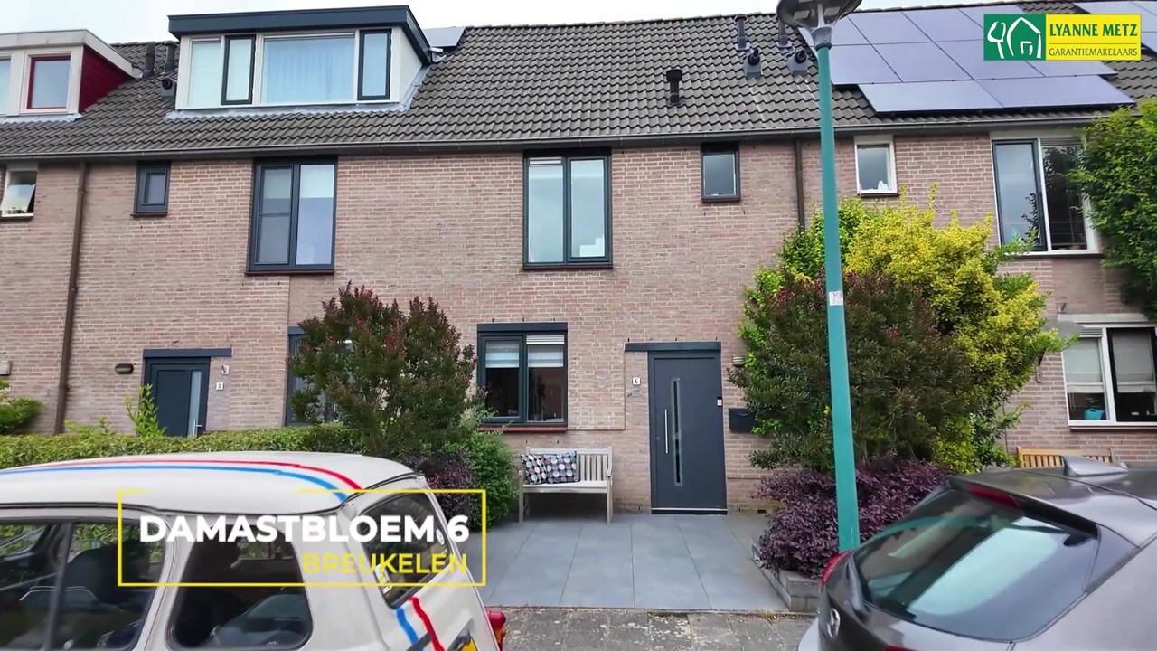 Video van Damastbloem 6