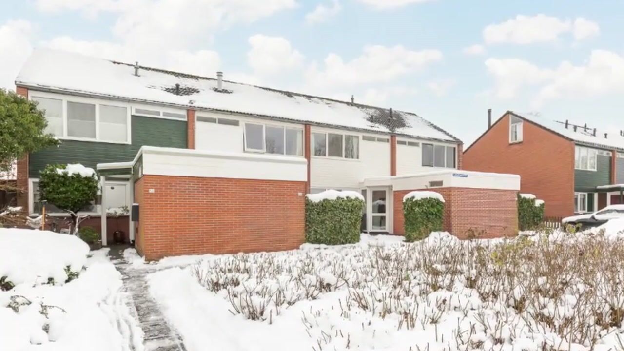 Video van Lepeltjesheide 48