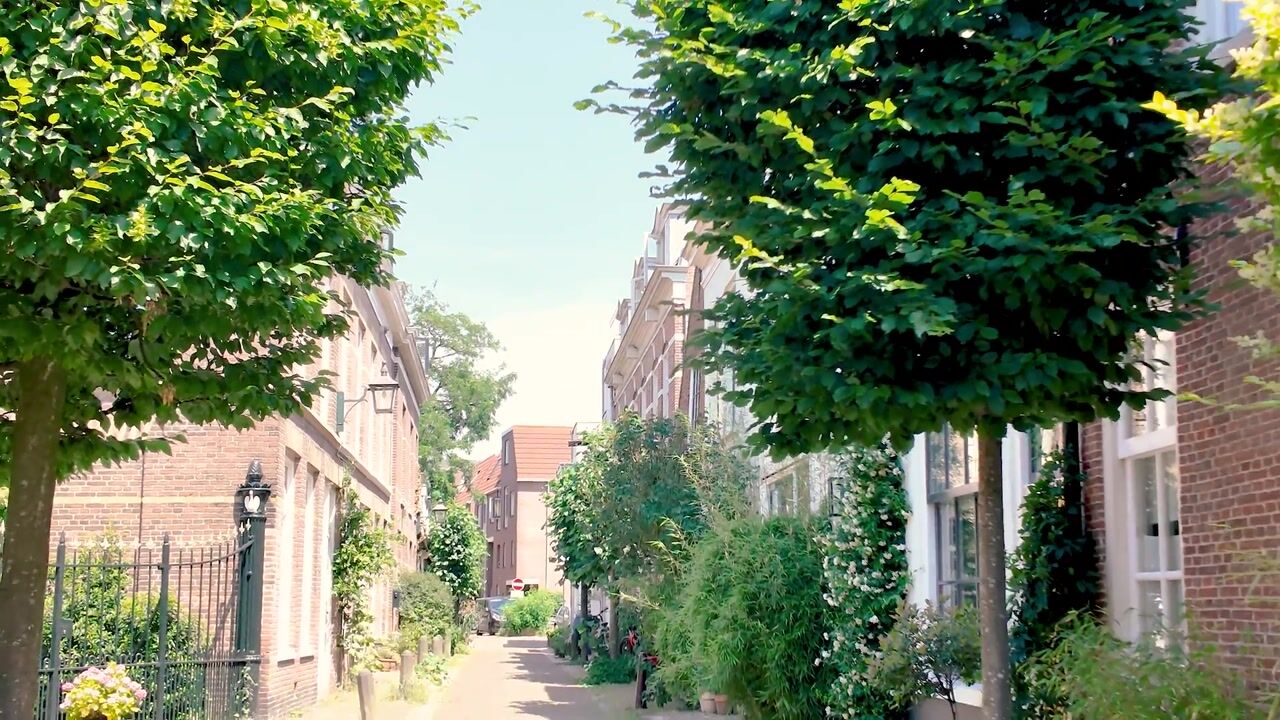 Video van Witte Herenstraat 21