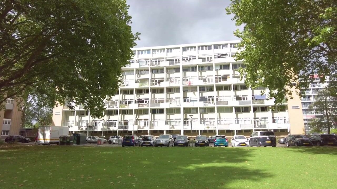 Video of Van Bosseplantsoen 136